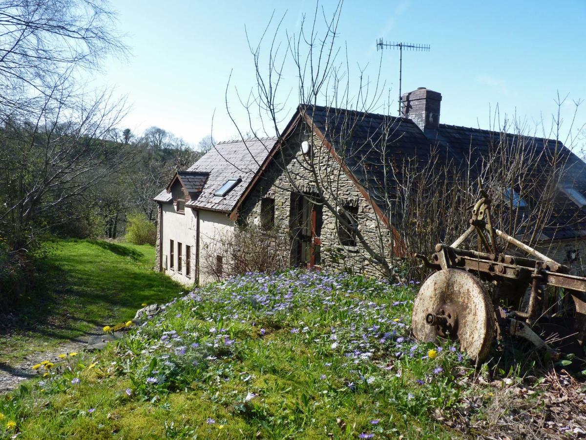 Ceridwen Holiday Homes Llandysul Bagian luar foto